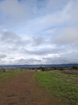 Alston Park Off-Leash Dog Area