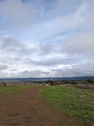 Alston Park Off-Leash Dog Area - Napa, CA