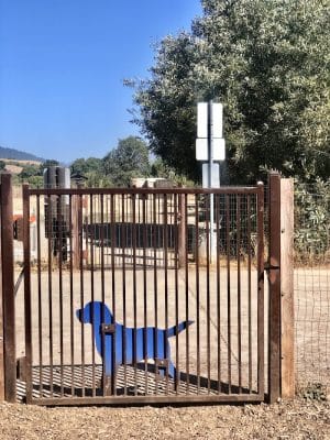 Canine Commons