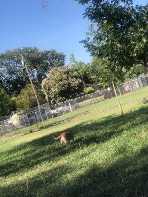 Kiwanis Park
