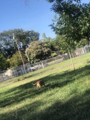 Kiwanis Park