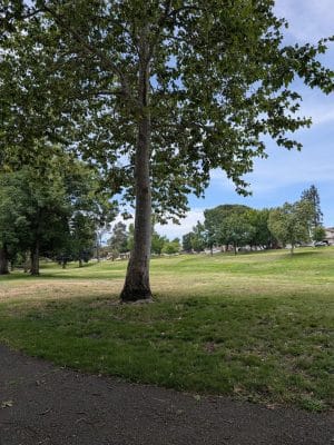 Lake Park