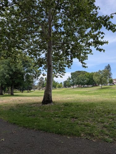 Lake Park