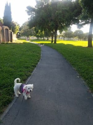 O’Brien Park