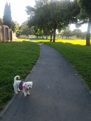 O’Brien Park