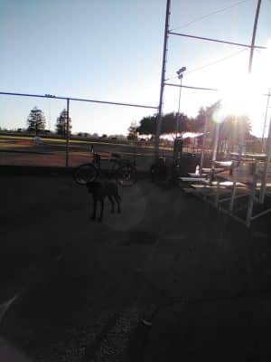 Shurtleff Park