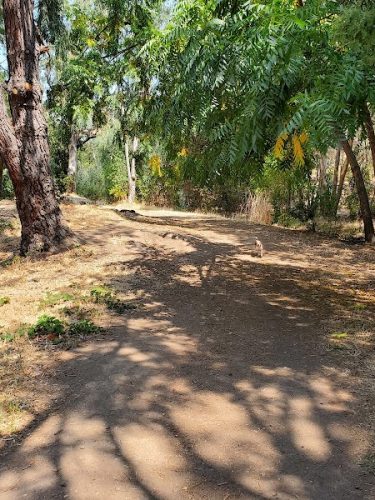Shurtleff Park
