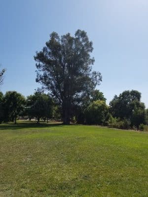 Shurtleff Park