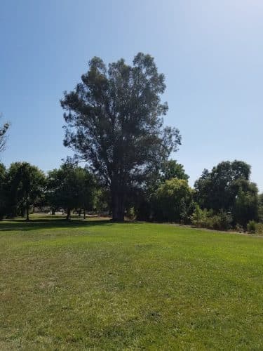 Shurtleff Park