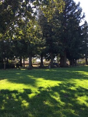 Solomon Park
