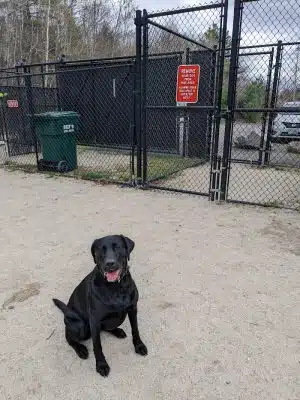 Nashua Dog Park - Membership Required