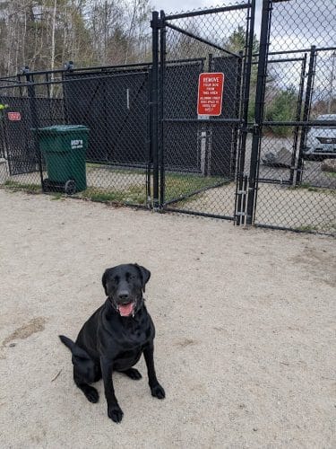 Nashua Dog Park - Membership Required