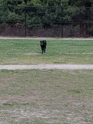 Nashua Dog Park - Membership Required