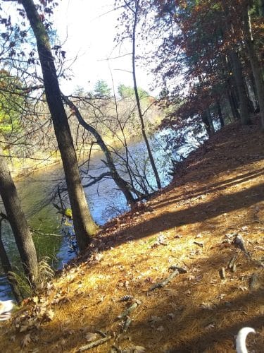 Nashua Dog Park - Membership Required