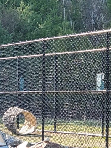 Nashua Dog Park - Membership Required