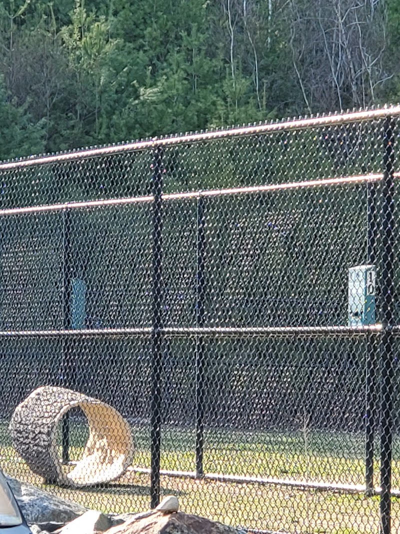 Nashua Dog Park - Membership Required - Nashua, NH