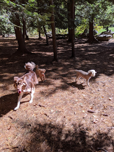 Nashua Dog Park - Membership Required