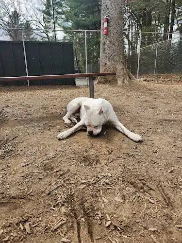 Royal Crest Drive Dog Park