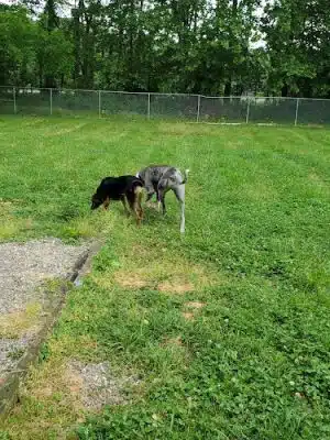 Brown County Humane Society