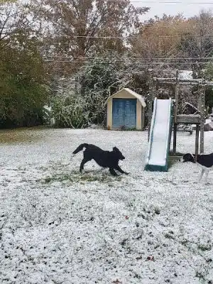 Brown County Humane Society