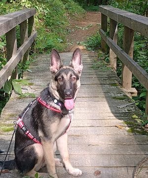 Brown County State Park