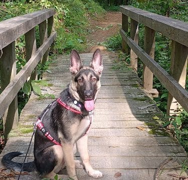 Brown County State Park