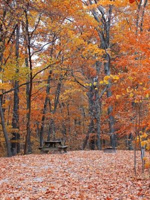 Brown County State Park