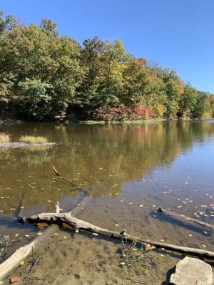Brown County State Park Nature Center