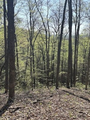 Brown County State Park Nature Center