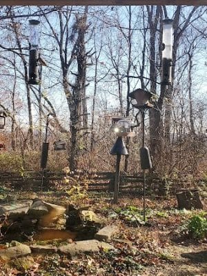 Brown County State Park Nature Center