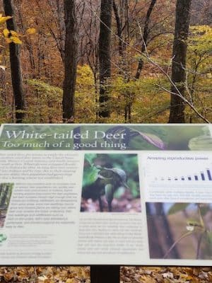 Hitz-Rhodehamel Nature Preserve