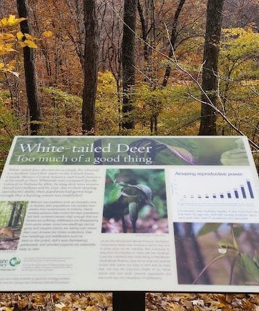 Hitz-Rhodehamel Nature Preserve