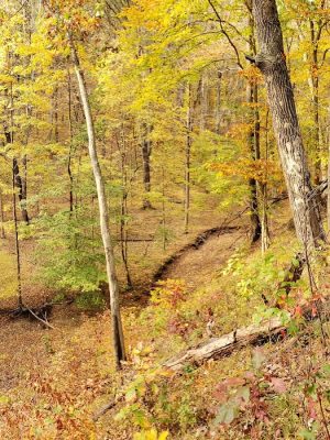 Hitz-Rhodehamel Nature Preserve