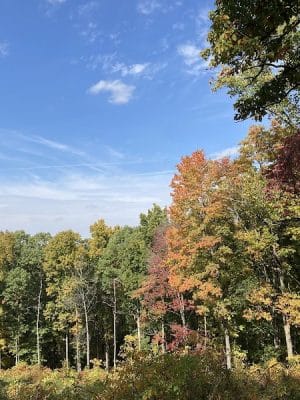 Hitz-Rhodehamel Nature Preserve