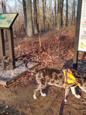 Hitz-Rhodehamel Nature Preserve