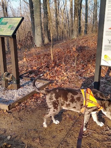 Hitz-Rhodehamel Nature Preserve