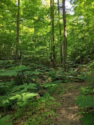 Hitz-Rhodehamel Nature Preserve