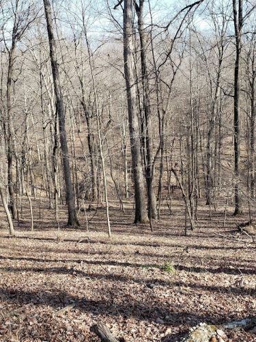 Laura Hare Nature Preserve at Downey Hill