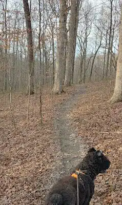 Laura Hare Nature Preserve at Downey Hill