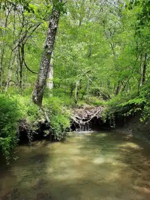 Laura Hare Nature Preserve at Downey Hill