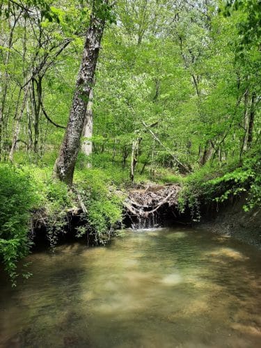 Laura Hare Nature Preserve at Downey Hill