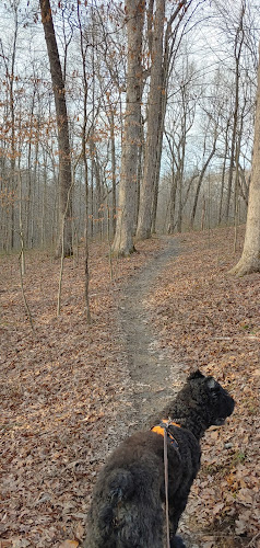 Laura Hare Nature Preserve at Downey Hill