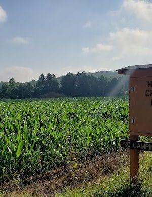 Nebo Ridge Trailhead
