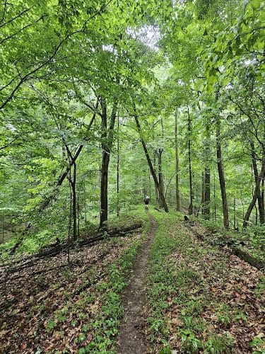 Nebo Ridge Trailhead