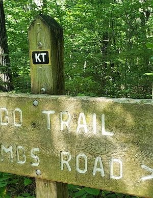 Nebo Ridge Trailhead