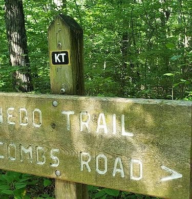 Nebo Ridge Trailhead