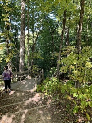 Ogle Hollow Nature Preserve