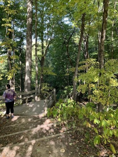 Ogle Hollow Nature Preserve