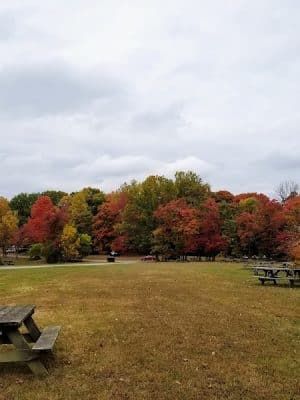 Ogle Hollow Nature Preserve