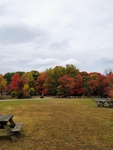 Ogle Hollow Nature Preserve